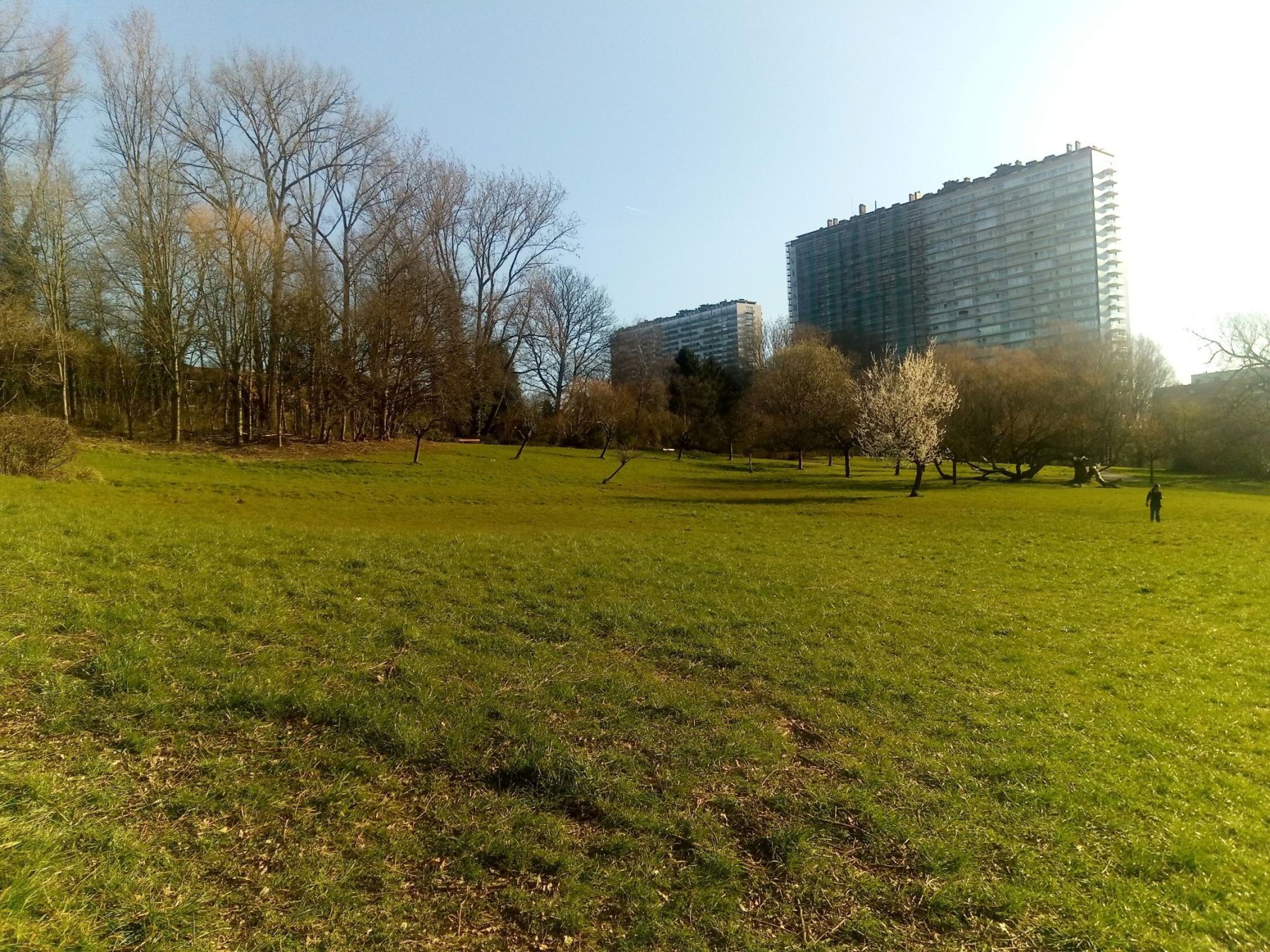 Foto uit de lagere school